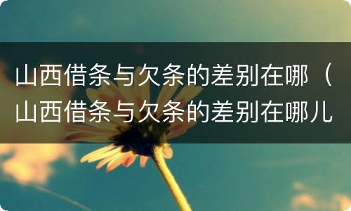 山西借条与欠条的差别在哪（山西借条与欠条的差别在哪儿）