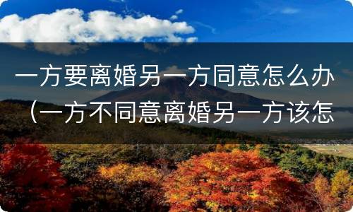 一方要离婚另一方同意怎么办（一方不同意离婚另一方该怎么办）