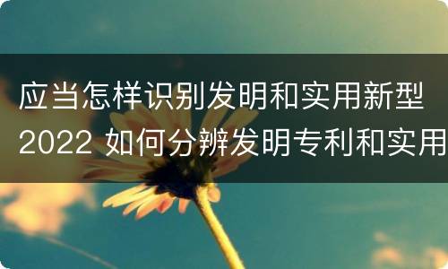 应当怎样识别发明和实用新型2022 如何分辨发明专利和实用新型