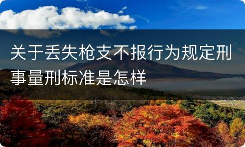 关于丢失枪支不报行为规定刑事量刑标准是怎样