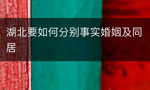 湖北要如何分别事实婚姻及同居