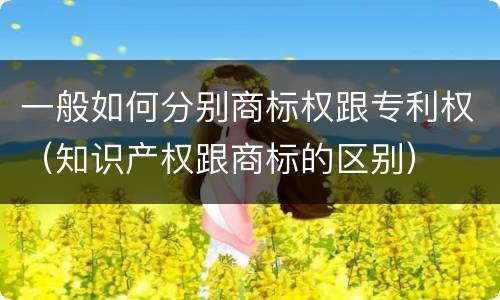 一般如何分别商标权跟专利权（知识产权跟商标的区别）