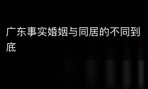 广东事实婚姻与同居的不同到底