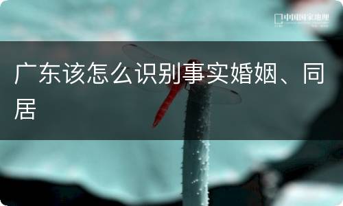 广东该怎么识别事实婚姻、同居