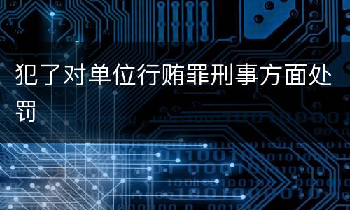 犯了对单位行贿罪刑事方面处罚