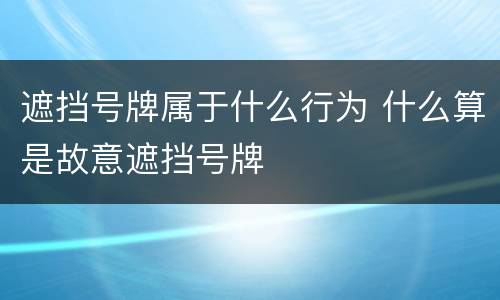 遮挡号牌属于什么行为 什么算是故意遮挡号牌