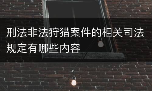 刑法非法狩猎案件的相关司法规定有哪些内容