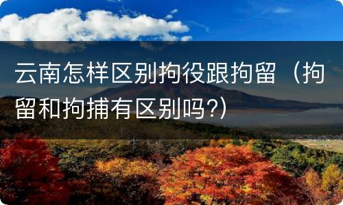 云南怎样区别拘役跟拘留（拘留和拘捕有区别吗?）