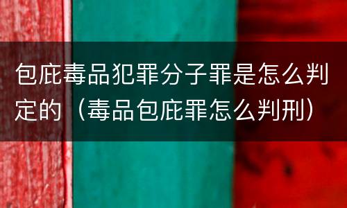 包庇毒品犯罪分子罪是怎么判定的（毒品包庇罪怎么判刑）