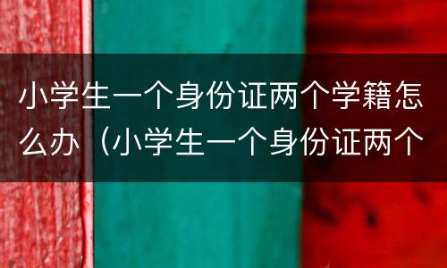 小学生一个身份证两个学籍怎么办（小学生一个身份证两个学籍怎么办手续）