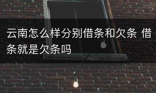 云南怎么样分别借条和欠条 借条就是欠条吗