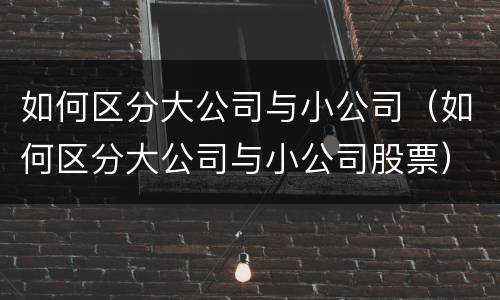 如何区分大公司与小公司（如何区分大公司与小公司股票）