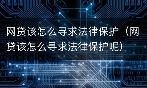 网贷该怎么寻求法律保护（网贷该怎么寻求法律保护呢）