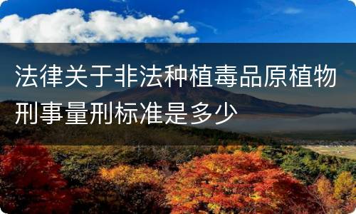 法律关于非法种植毒品原植物刑事量刑标准是多少