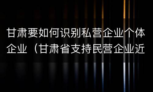 甘肃要如何识别私营企业个体企业（甘肃省支持民营企业近期政策）