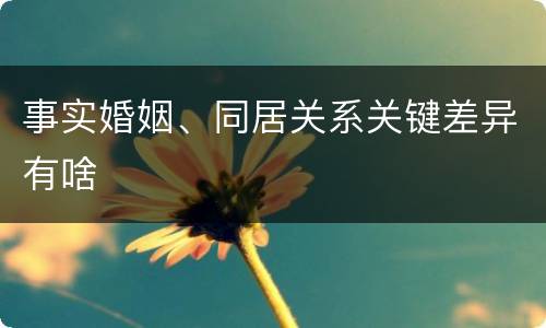 事实婚姻、同居关系关键差异有啥