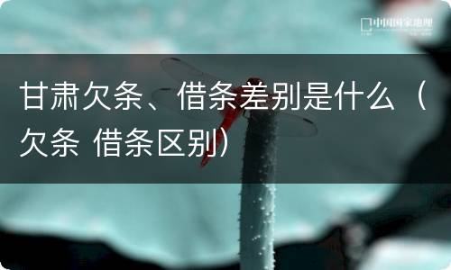 甘肃欠条、借条差别是什么（欠条 借条区别）