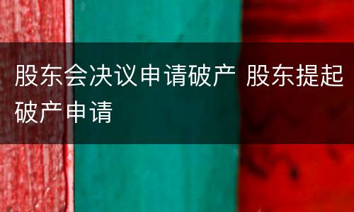 股东会决议申请破产 股东提起破产申请