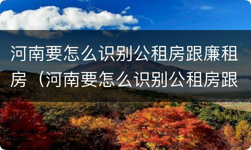 河南要怎么识别公租房跟廉租房（河南要怎么识别公租房跟廉租房呢）