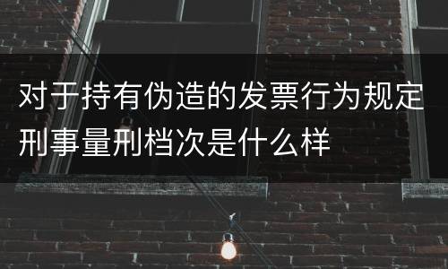 对于持有伪造的发票行为规定刑事量刑档次是什么样