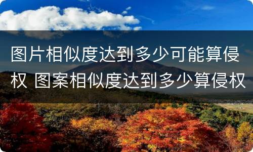 图片相似度达到多少可能算侵权 图案相似度达到多少算侵权