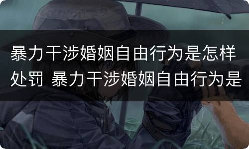暴力干涉婚姻自由行为是怎样处罚 暴力干涉婚姻自由行为是怎样处罚的