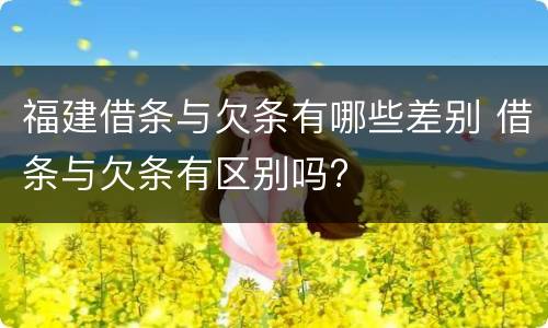 福建借条与欠条有哪些差别 借条与欠条有区别吗?
