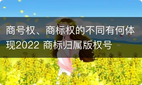 商号权、商标权的不同有何体现2022 商标归属版权号