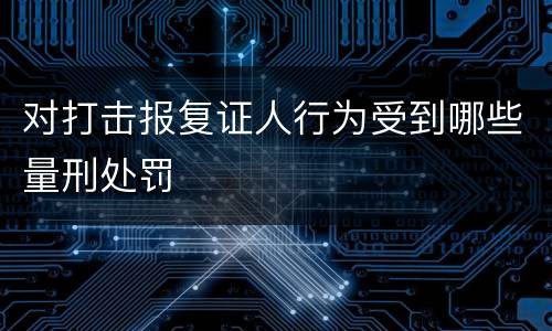 对打击报复证人行为受到哪些量刑处罚