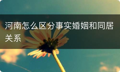 河南怎么区分事实婚姻和同居关系