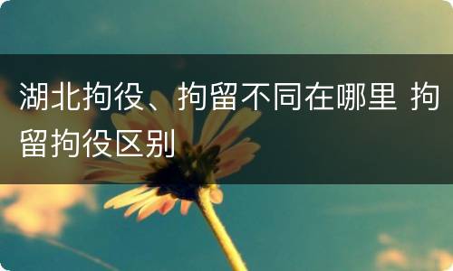 湖北拘役、拘留不同在哪里 拘留拘役区别