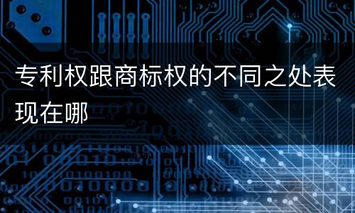 专利权跟商标权的不同之处表现在哪