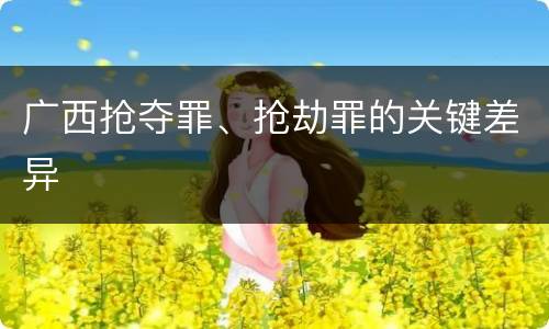 广西抢夺罪、抢劫罪的关键差异