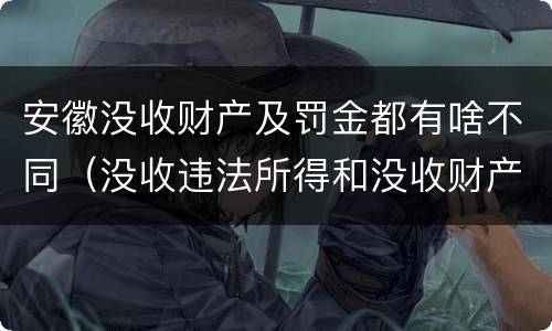 安徽没收财产及罚金都有啥不同（没收违法所得和没收财产的区别）