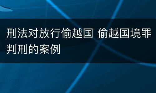 刑法对放行偷越国 偷越国境罪判刑的案例