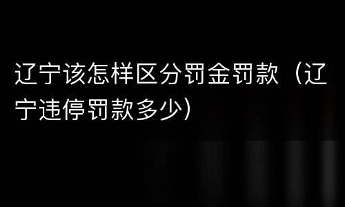 辽宁该怎样区分罚金罚款（辽宁违停罚款多少）