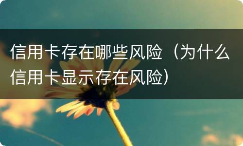 信用卡存在哪些风险（为什么信用卡显示存在风险）