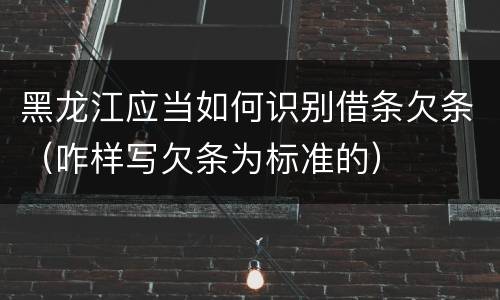 黑龙江应当如何识别借条欠条（咋样写欠条为标准的）