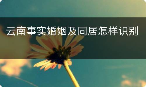 云南事实婚姻及同居怎样识别