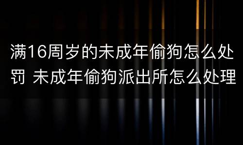 满16周岁的未成年偷狗怎么处罚 未成年偷狗派出所怎么处理