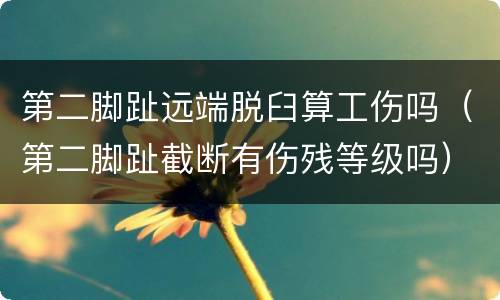 第二脚趾远端脱臼算工伤吗（第二脚趾截断有伤残等级吗）