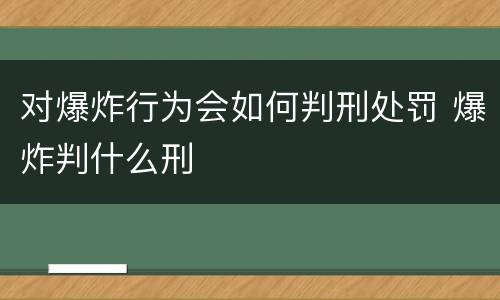 对爆炸行为会如何判刑处罚 爆炸判什么刑