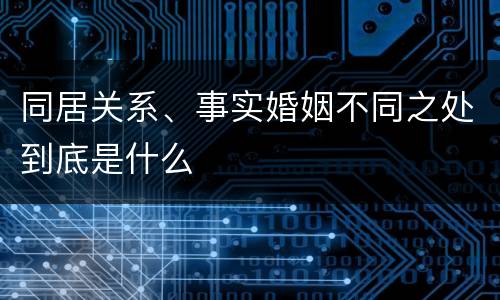 同居关系、事实婚姻不同之处到底是什么