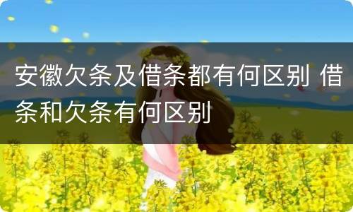 安徽欠条及借条都有何区别 借条和欠条有何区别
