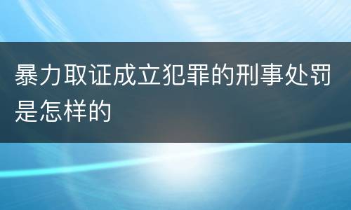 暴力取证成立犯罪的刑事处罚是怎样的