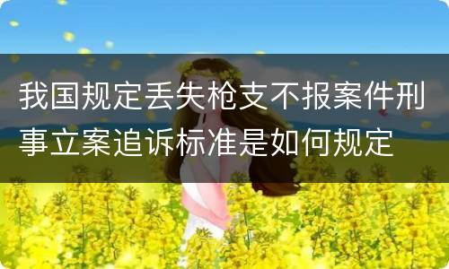 我国规定丢失枪支不报案件刑事立案追诉标准是如何规定