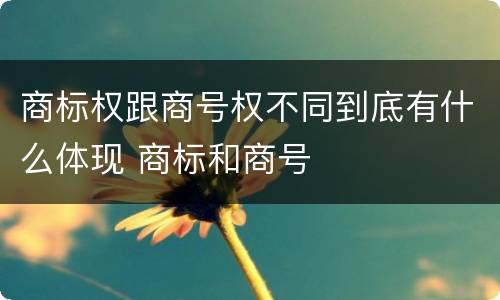 商标权跟商号权不同到底有什么体现 商标和商号