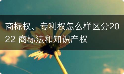 商标权、专利权怎么样区分2022 商标法和知识产权