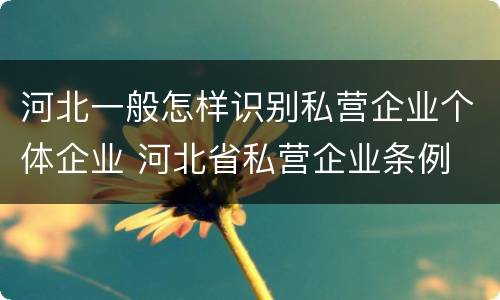 河北一般怎样识别私营企业个体企业 河北省私营企业条例
