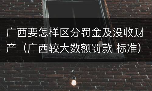 广西要怎样区分罚金及没收财产（广西较大数额罚款 标准）